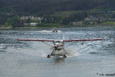 Float Planes Juneau WM null