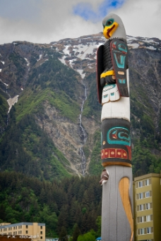 Totem WM null