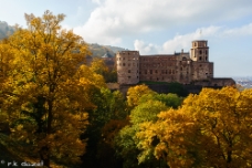 Heidelberg Castle WM null