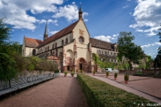 Kloster Bronnbach WM null