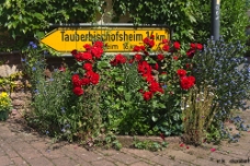 Tauberbischofsheim WM null