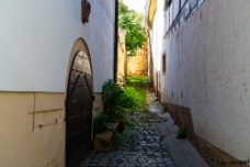 Alley WM null
