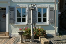 Water Pump WM null