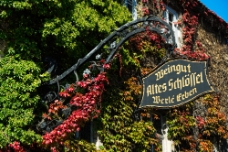 Weingut Werle Erben WM null