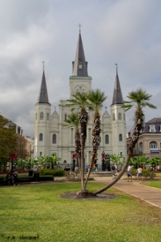 St. Louis Cathedral WM null