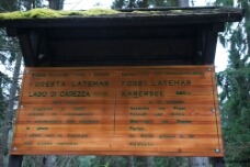 Karersee Forest Sign WM null