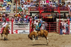 Buckin' Bronco -- Ridem Cowboy null