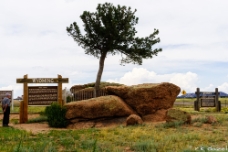 Tree Rock on Sherman Hill null